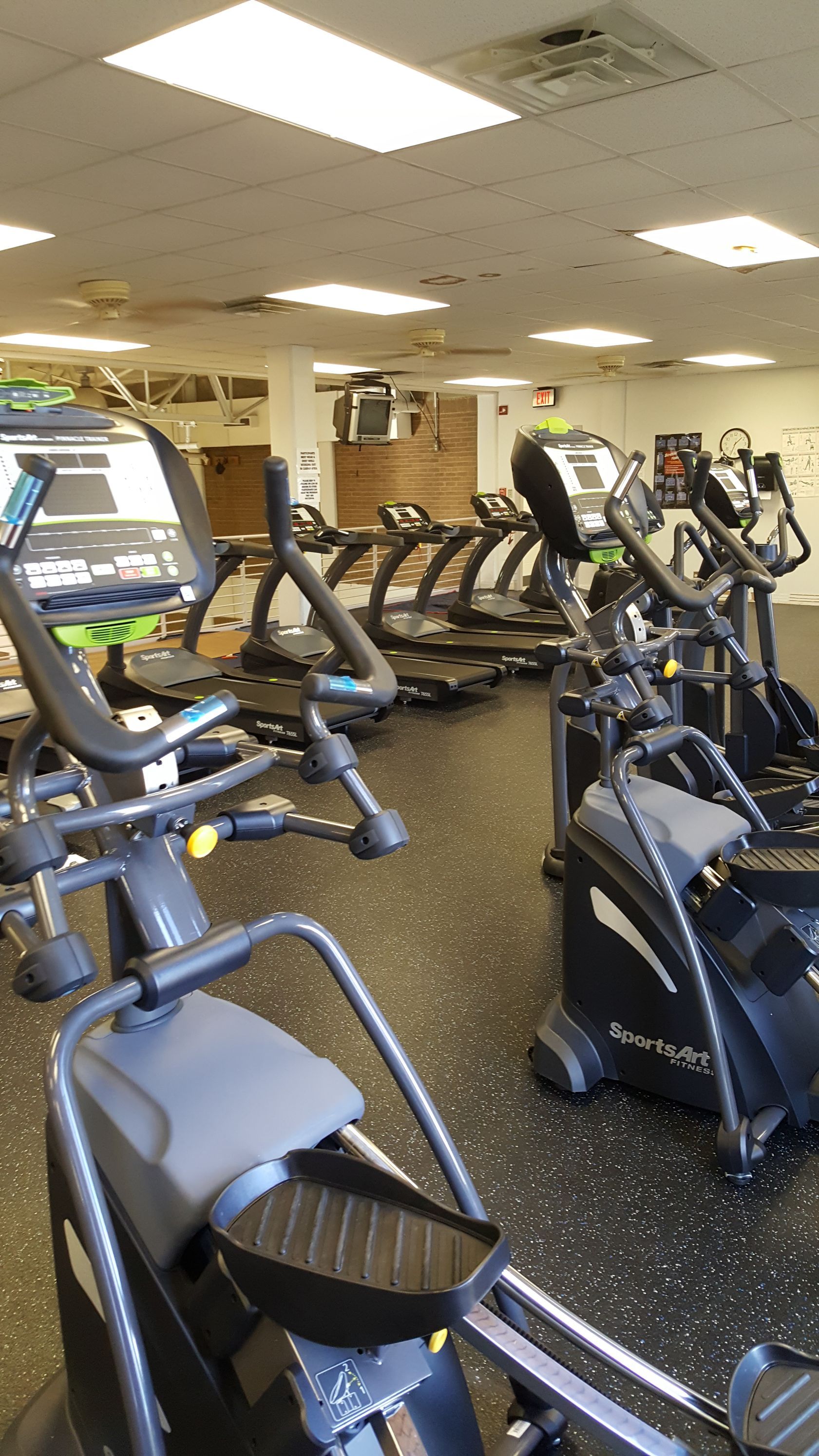 Gym cardio area with rows of elliptical machines and treadmills under bright ceiling lights