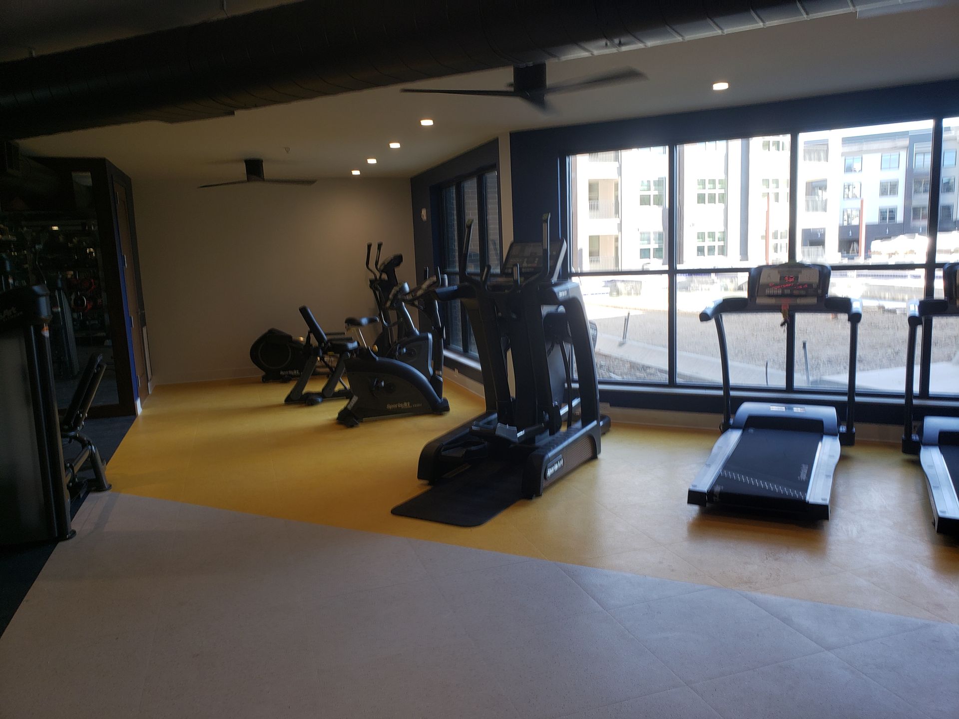Empty gym with treadmills and ellipticals facing large windows.