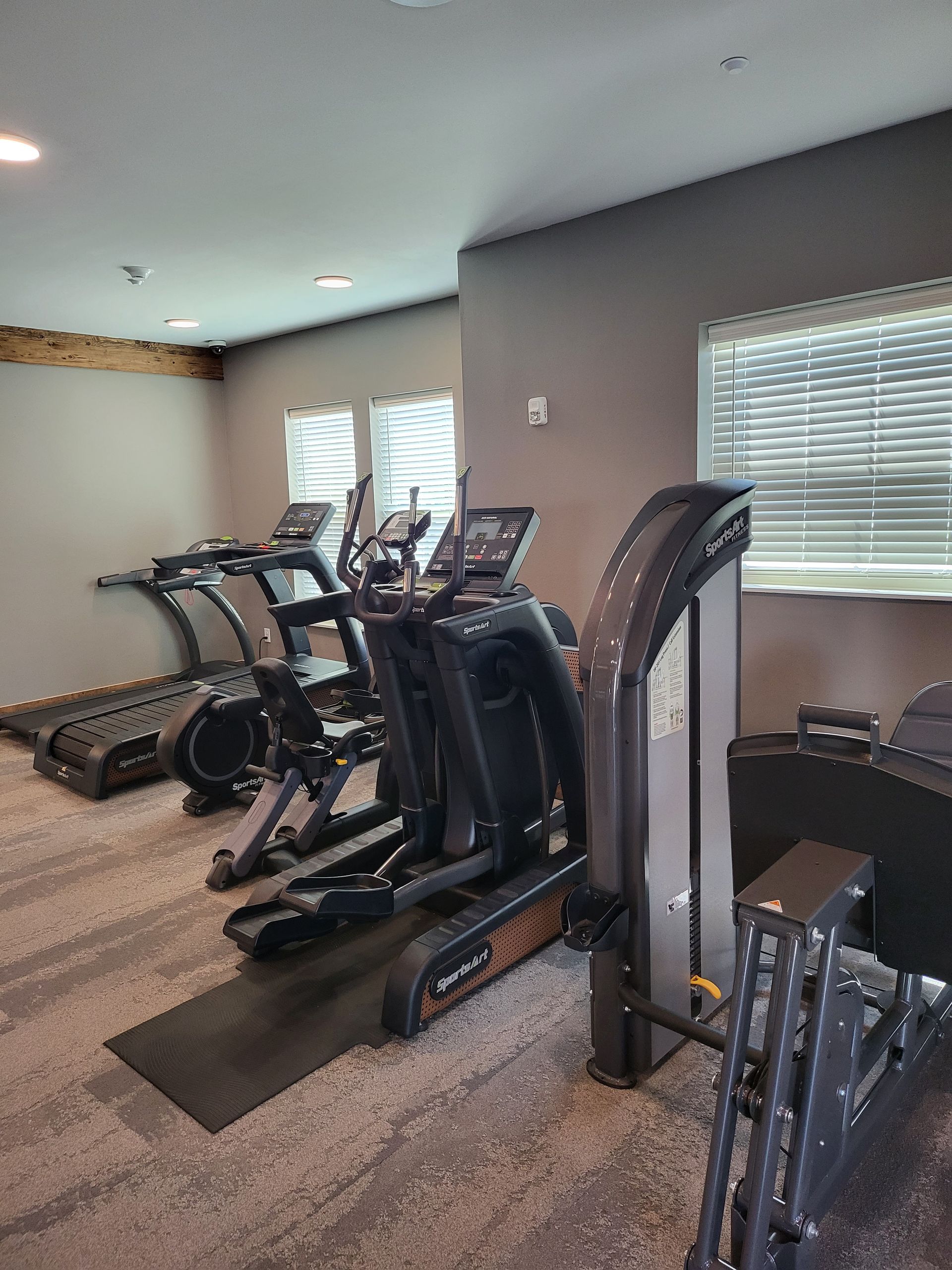 Row of exercise bikes in a gym room with windows and carpeted floor