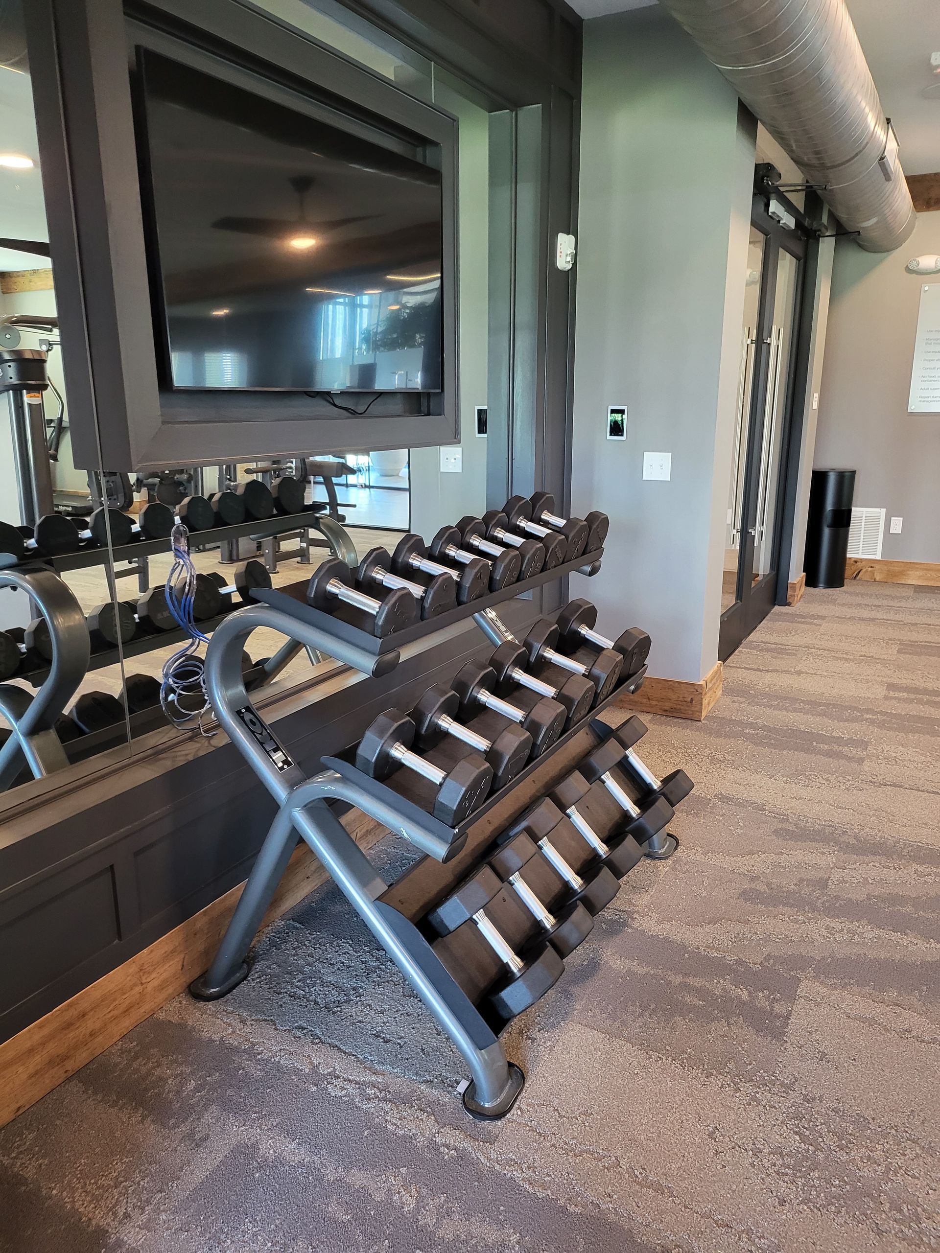 Gym dumbbell rack beside a mirrored wall in a carpeted fitness room