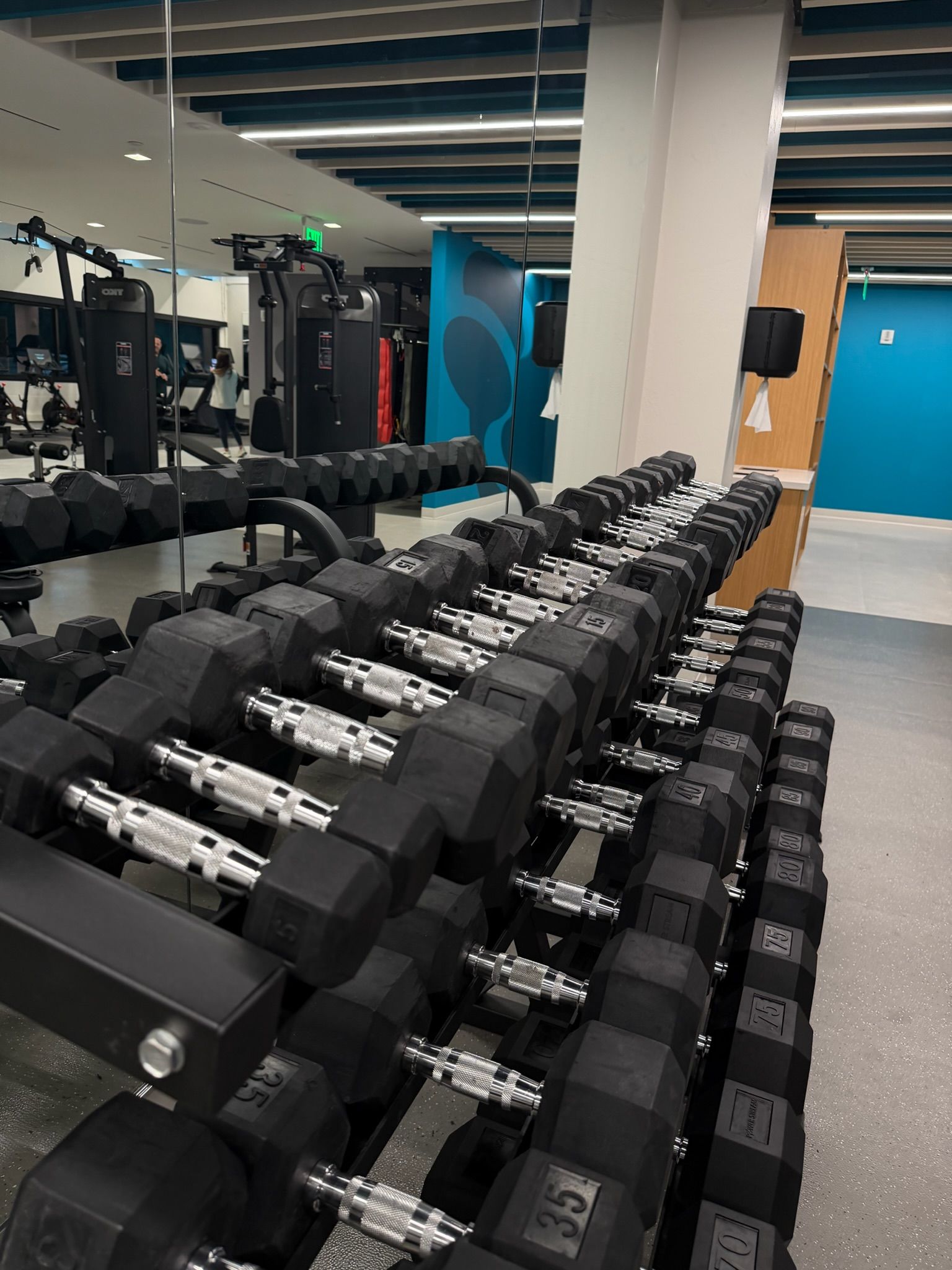 Rows of black dumbbells on racks in a gym with mirrors and exercise equipment in the background