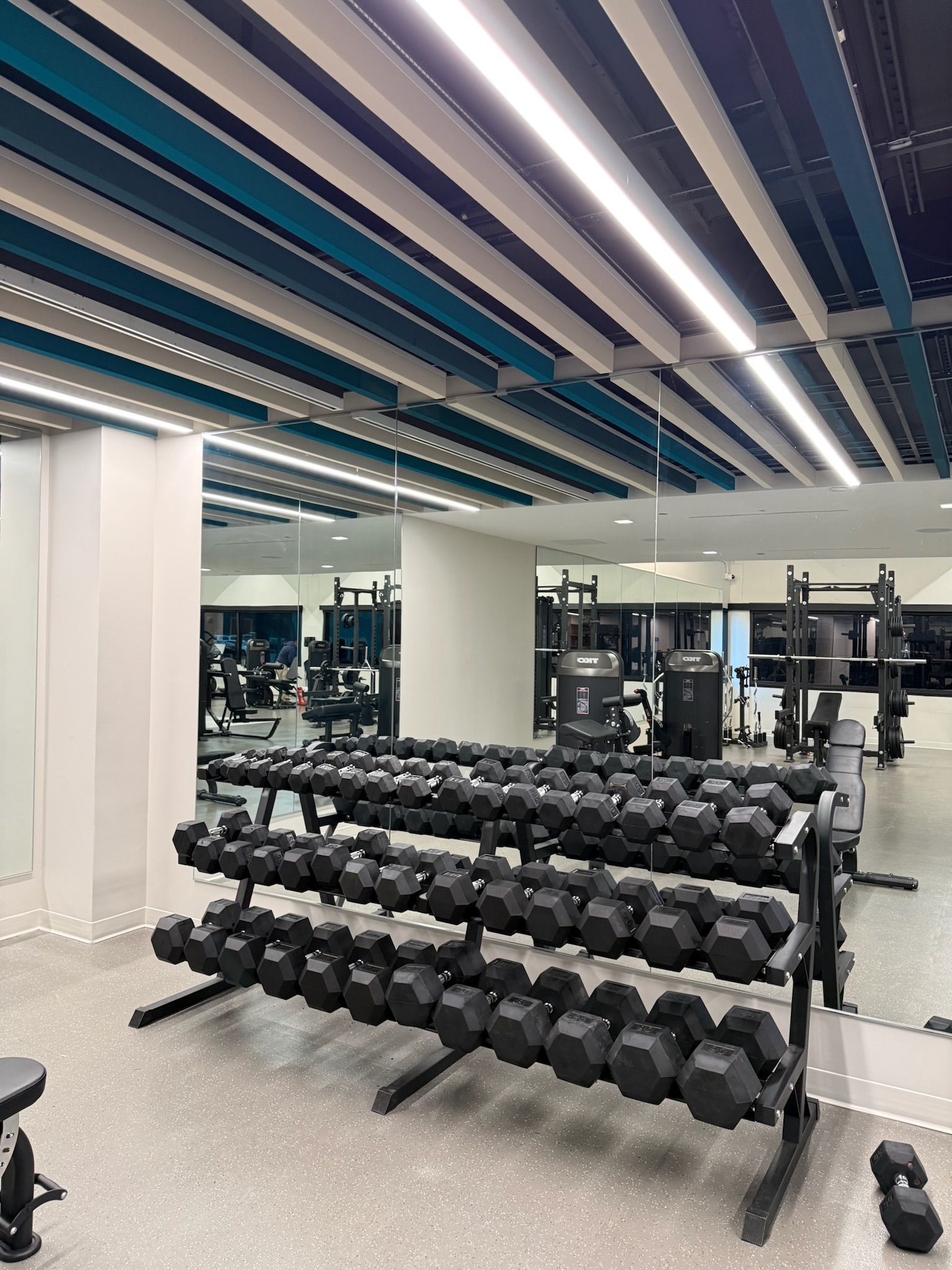 Modern gym with rows of dumbbells, mirrors, and striped ceiling lights