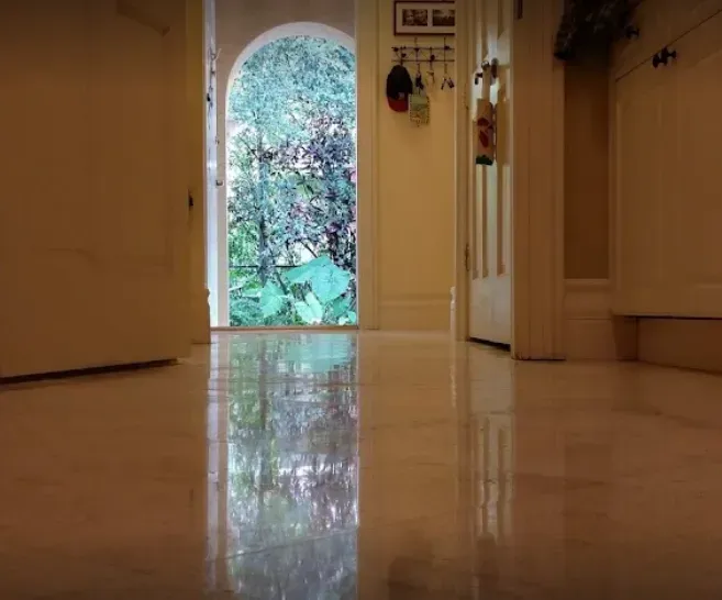 Empty hallway with glossy floor reflecting a doorway to a lush garden outside