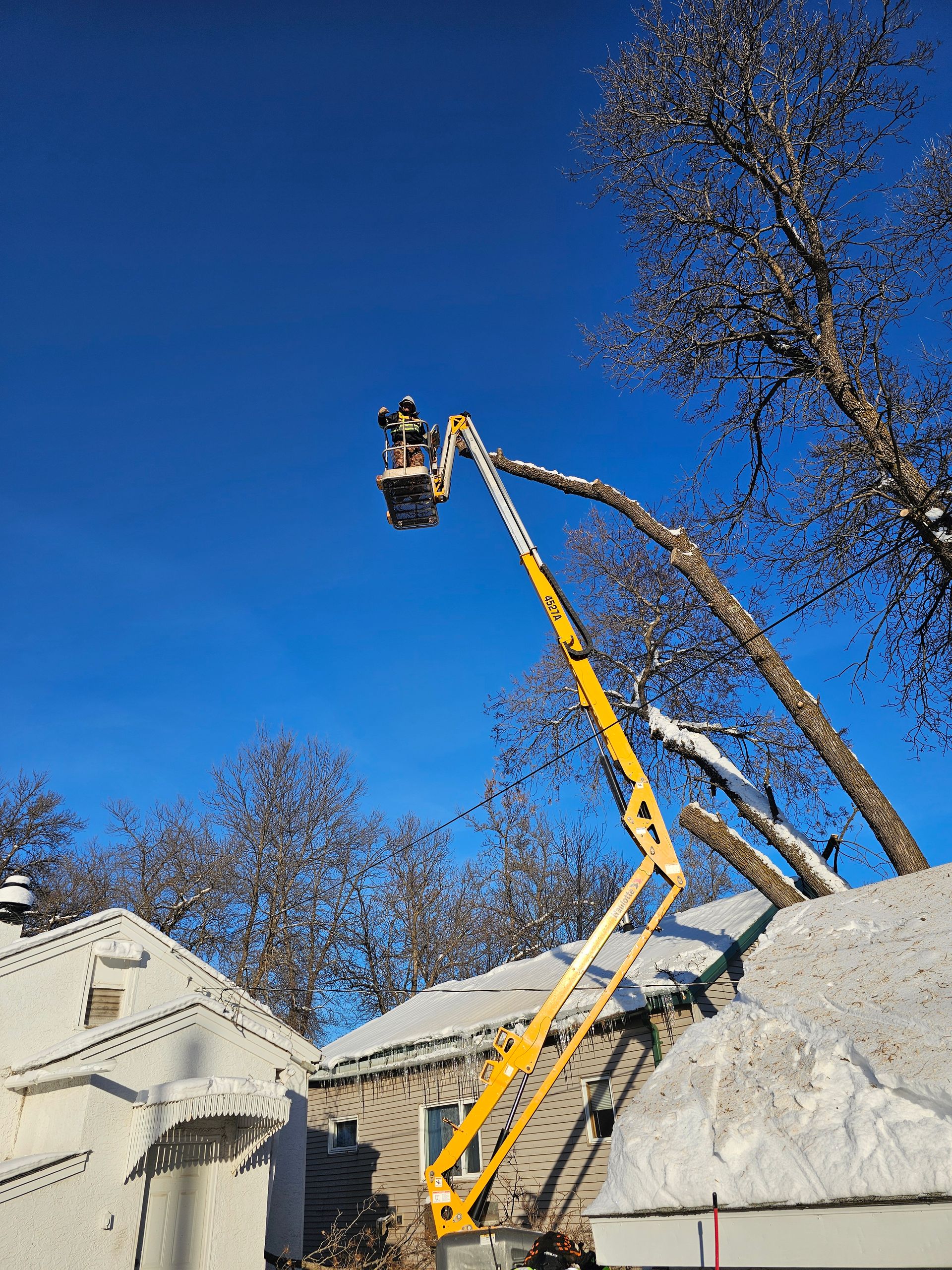 A1 Lawn Snow & Tree Service | Virginia, MN | Hibbing, MN | Grand Rapids, MN