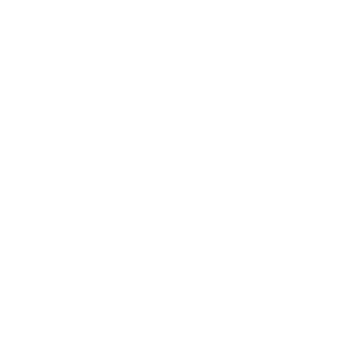 portabici auto