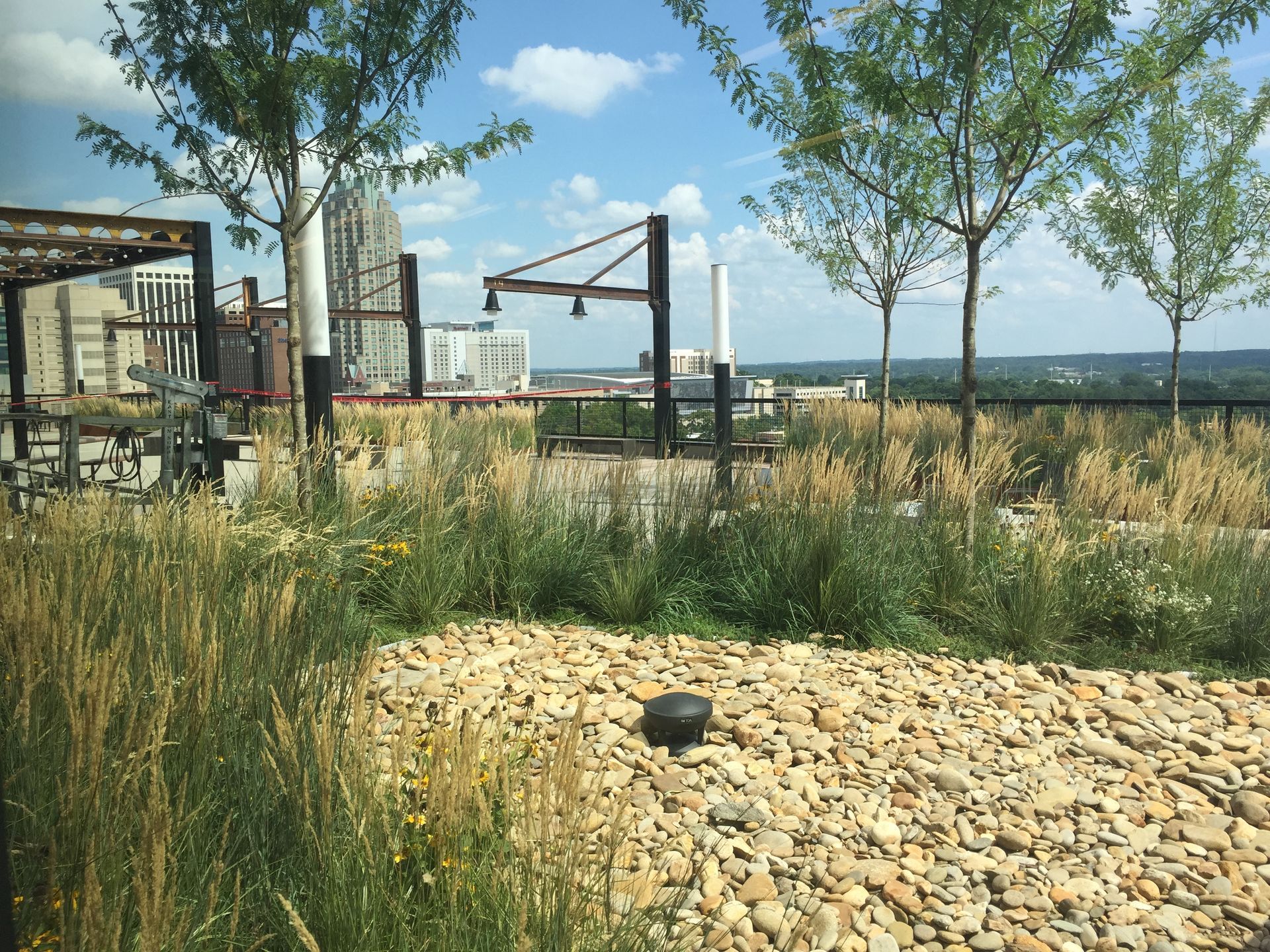 Rooftop garden with stone path, tall grass, trees, and city view under a blue sky.