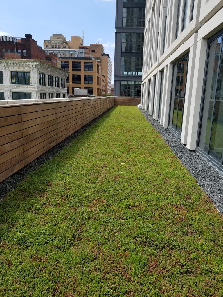 Green rooftop garden next to a modern building, with wooden fence and city buildings in background.