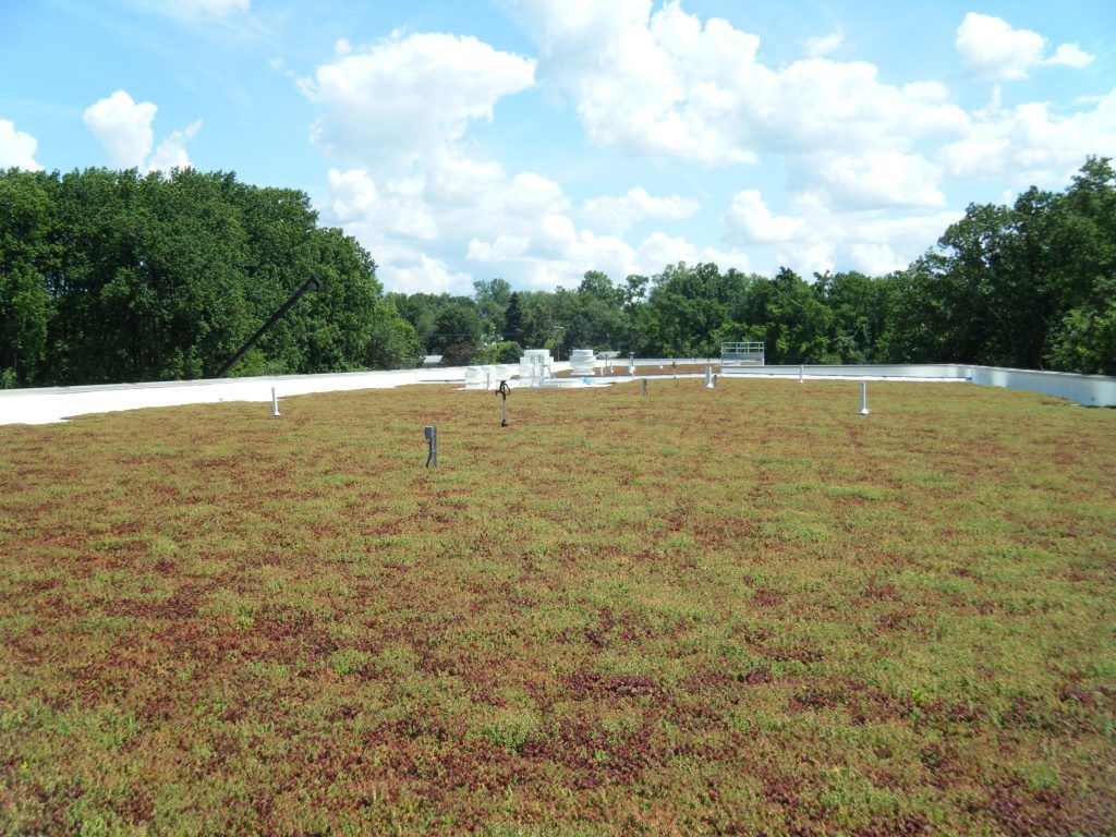 Green roof with vegetation, surrounded by trees under a blue sky with clouds.