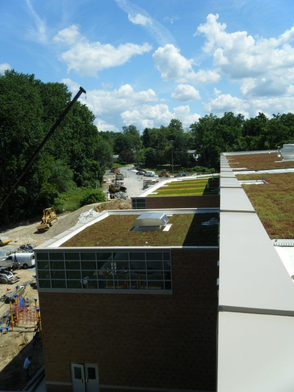 Green roofs on a modern building under construction, with a crane, surrounded by trees and a blue sky.