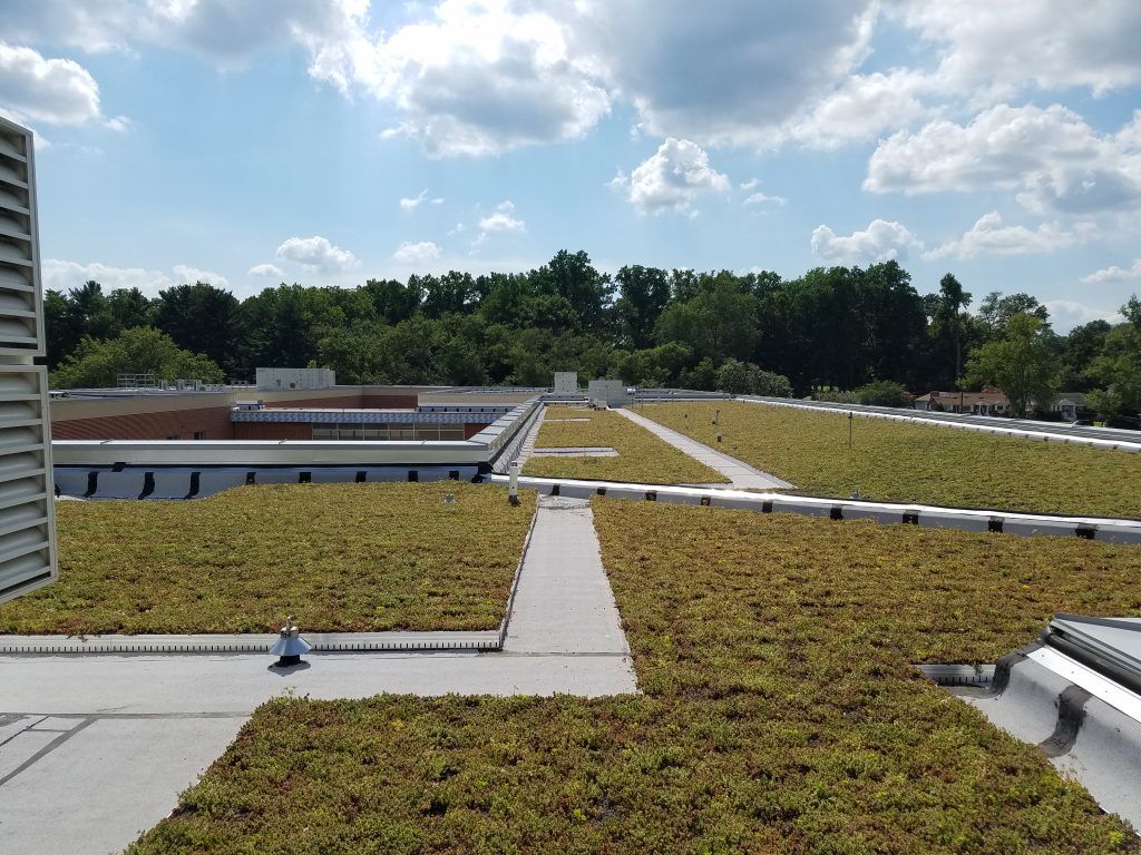 Green roof with vegetation, white pathways, and surrounding trees under a cloudy blue sky.