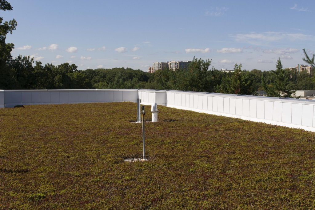 Green roof with white perimeter, weather instruments, and trees in background under a blue sky.