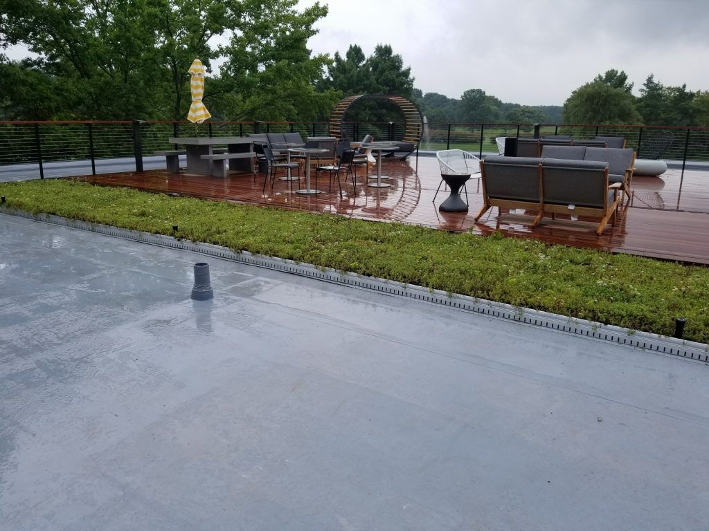 Rooftop patio with wet gray surface, green plants, and outdoor furniture. Rain is falling.