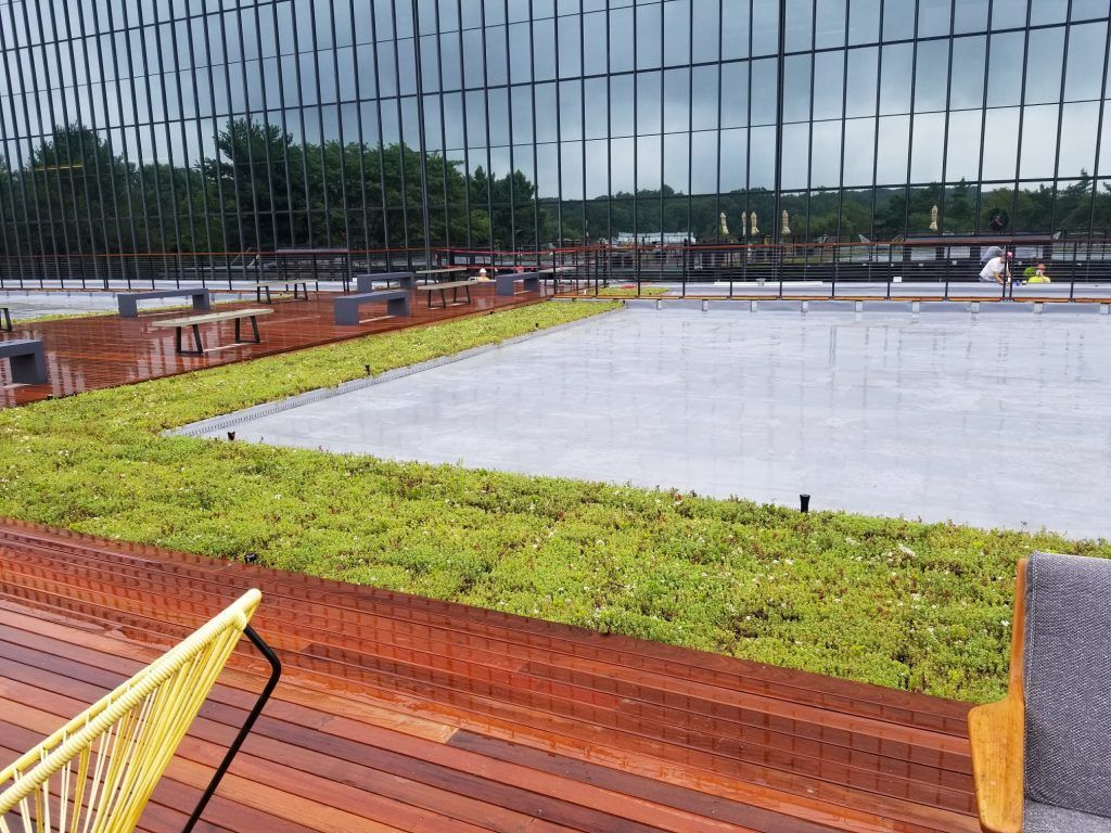 Rooftop terrace with a large glass wall in the background. Green plants in ru