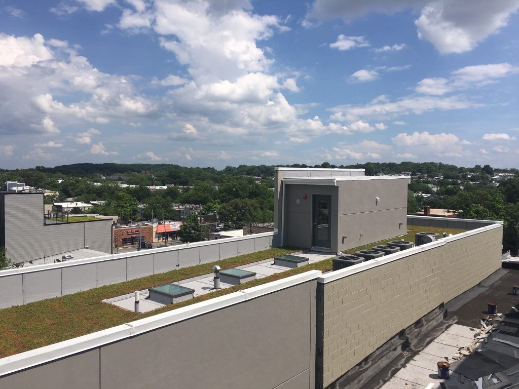 Rooftop with green vegetation, skylights, and a small building under a cloudy blue sky, trees in the background.