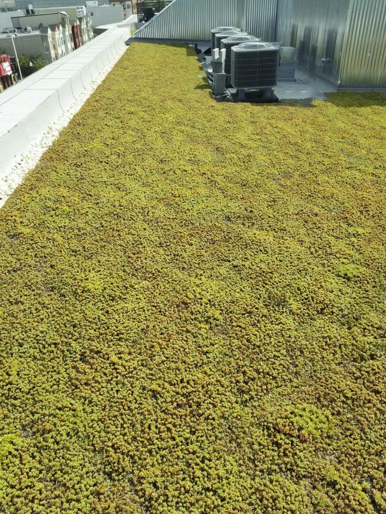 Green roof with air conditioning units.