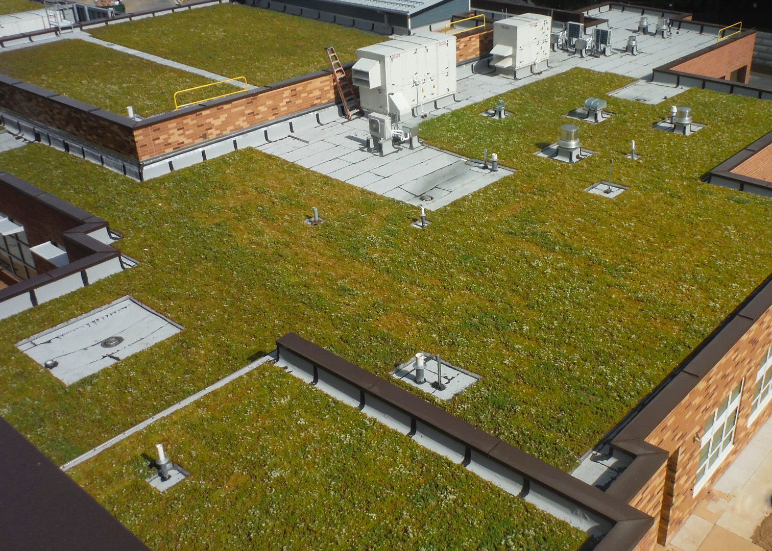 Aerial view of a green roof on a building, with patches of green vegetation and several mechanical units.