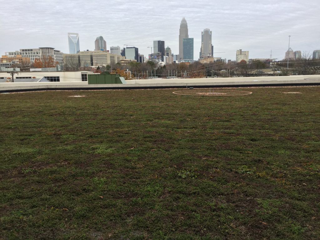 Green rooftop with Charlotte, NC skyline in background. Overcast day.