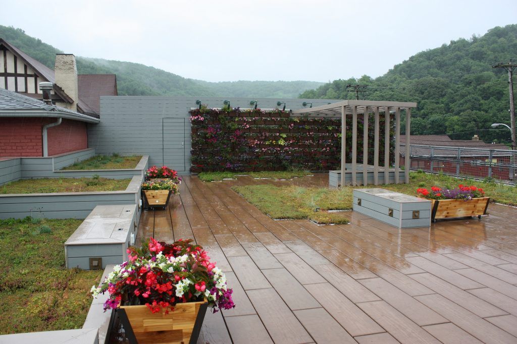 Rooftop garden with wooden deck, planters, green wall, and distant hills under overcast sky.
