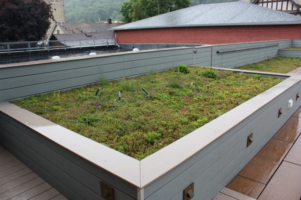 Green roof on a building with gray and tan siding.
