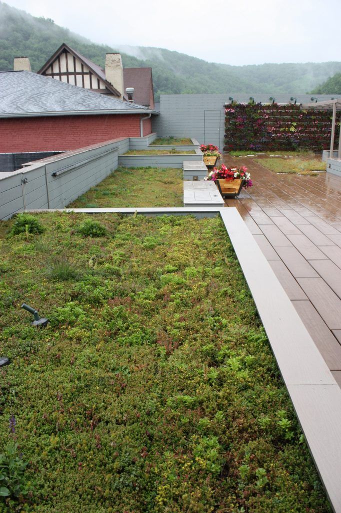 Green roof with flowering pots and mountains in the background.