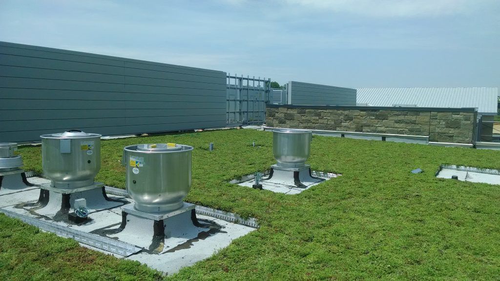 Green roof with HVAC units.