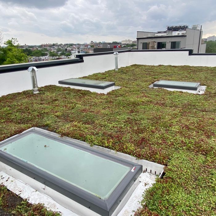 A green roof with low-lying plants, featuring three skylights and two silver ventilation pipes under a cloudy sky.