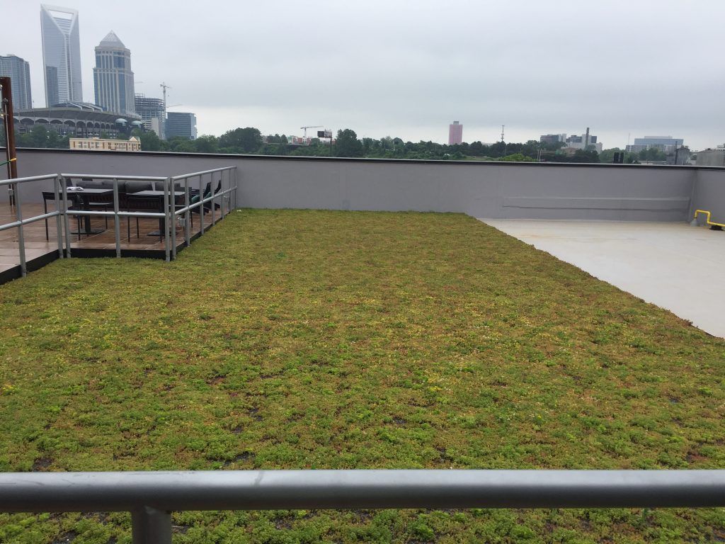 Green roof on a building rooftop, with a city skyline in the background on a cloudy day.
