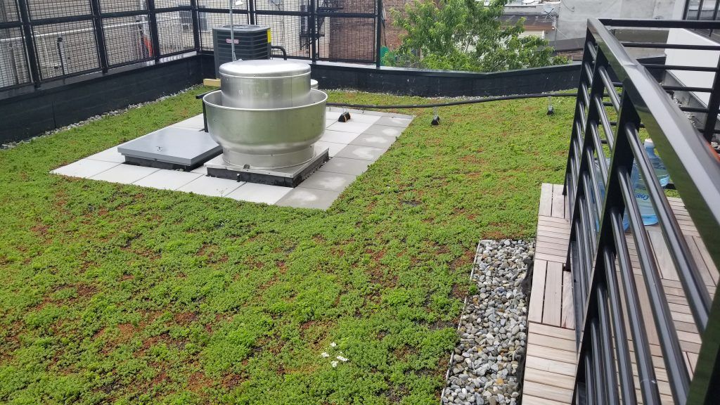 Rooftop garden with green vegetation, a large vent, and a metal railing.