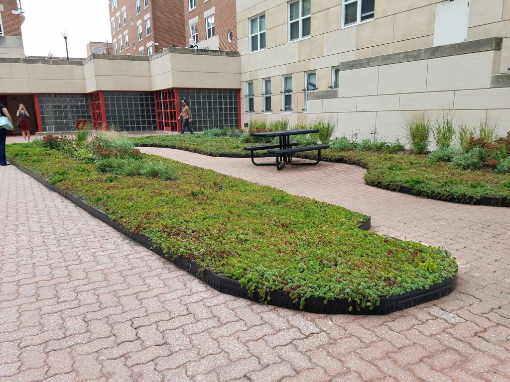Green rooftop garden with brick pathways and a picnic table. Building in the background.