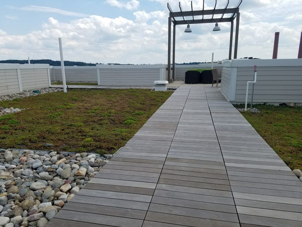 Rooftop garden with gray pathway leading to a pergola with lights. Green vegetation and white walls surround the area.