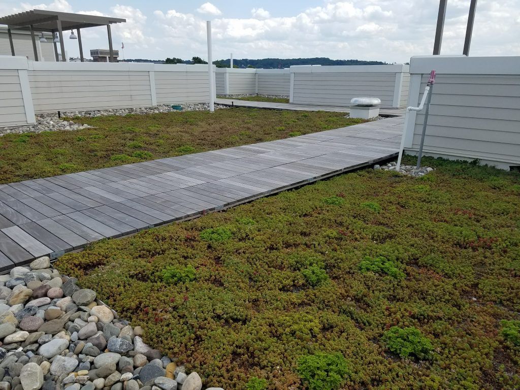Wooden walkway on green roof with white structures, blue sky.