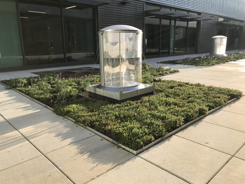 A shiny, cylindrical art piece on a square planter with green foliage, in front of a modern building.