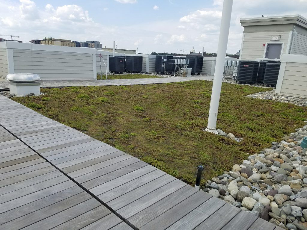 Rooftop garden with a wooden walkway, green plants, and equipment against a cloudy sky.