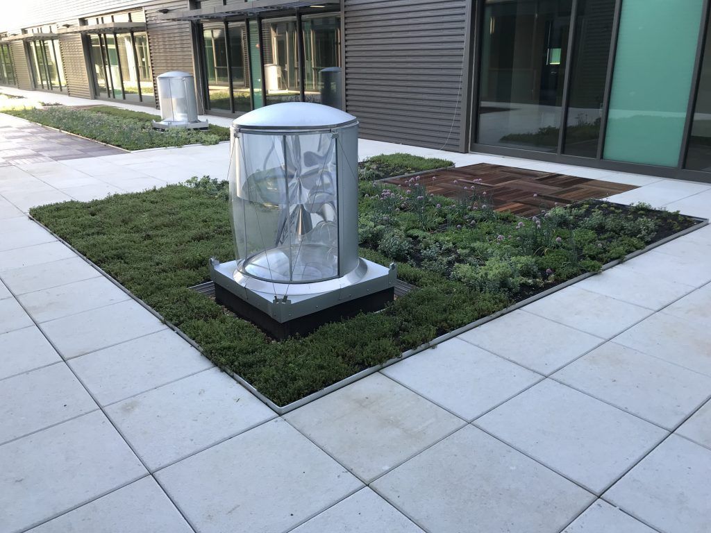 Exterior view of a building's green roof with lush plants and glass light fixtures set in the center.