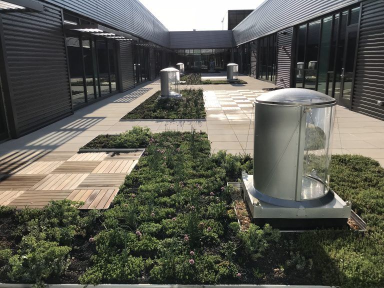 Rooftop with green plants, gray metal vents, and wooden tile path between buildings.