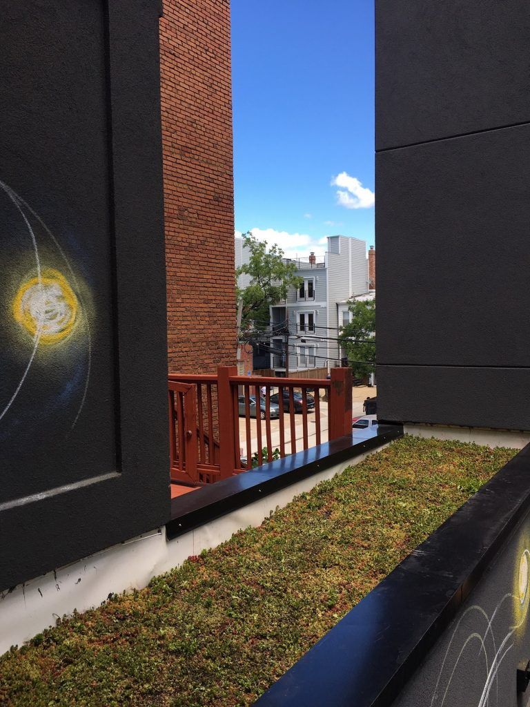 Green rooftop plants between dark panels, brick chimney, and view of urban buildings and blue sky.