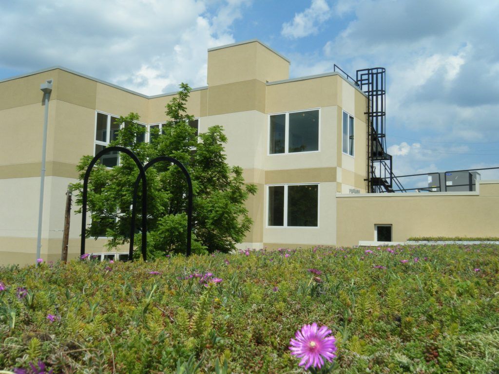 Green roof with flowering plants in foreground, beige building with windows and a black structure.