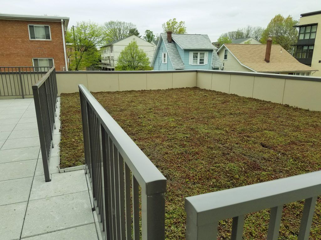 Green rooftop garden surrounded by grey railings, with buildings in the background under an overcast sky.