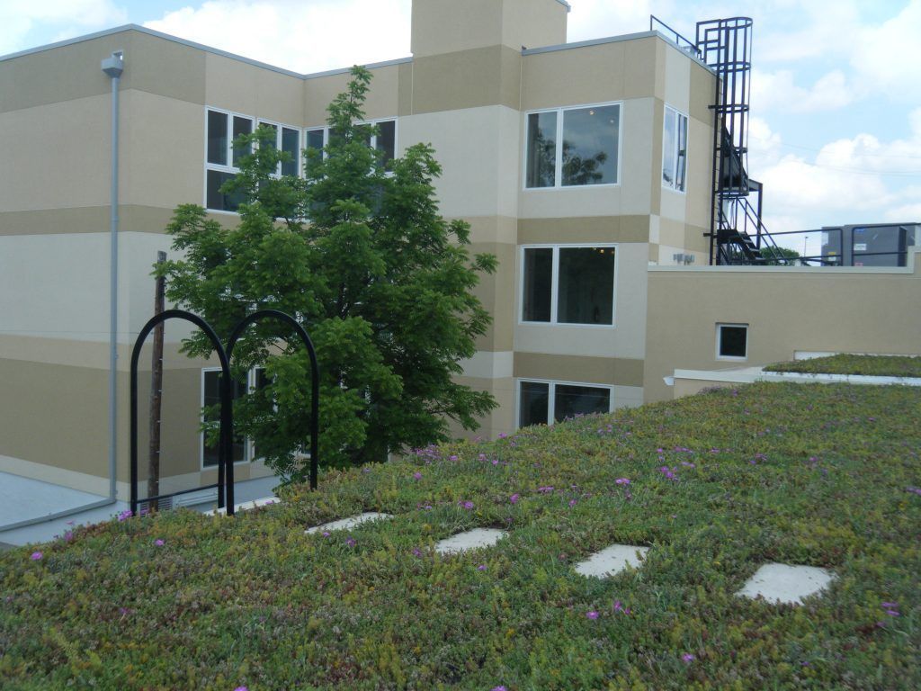 Building with green roof, tree, and metal ladder. Beige and white exterior.