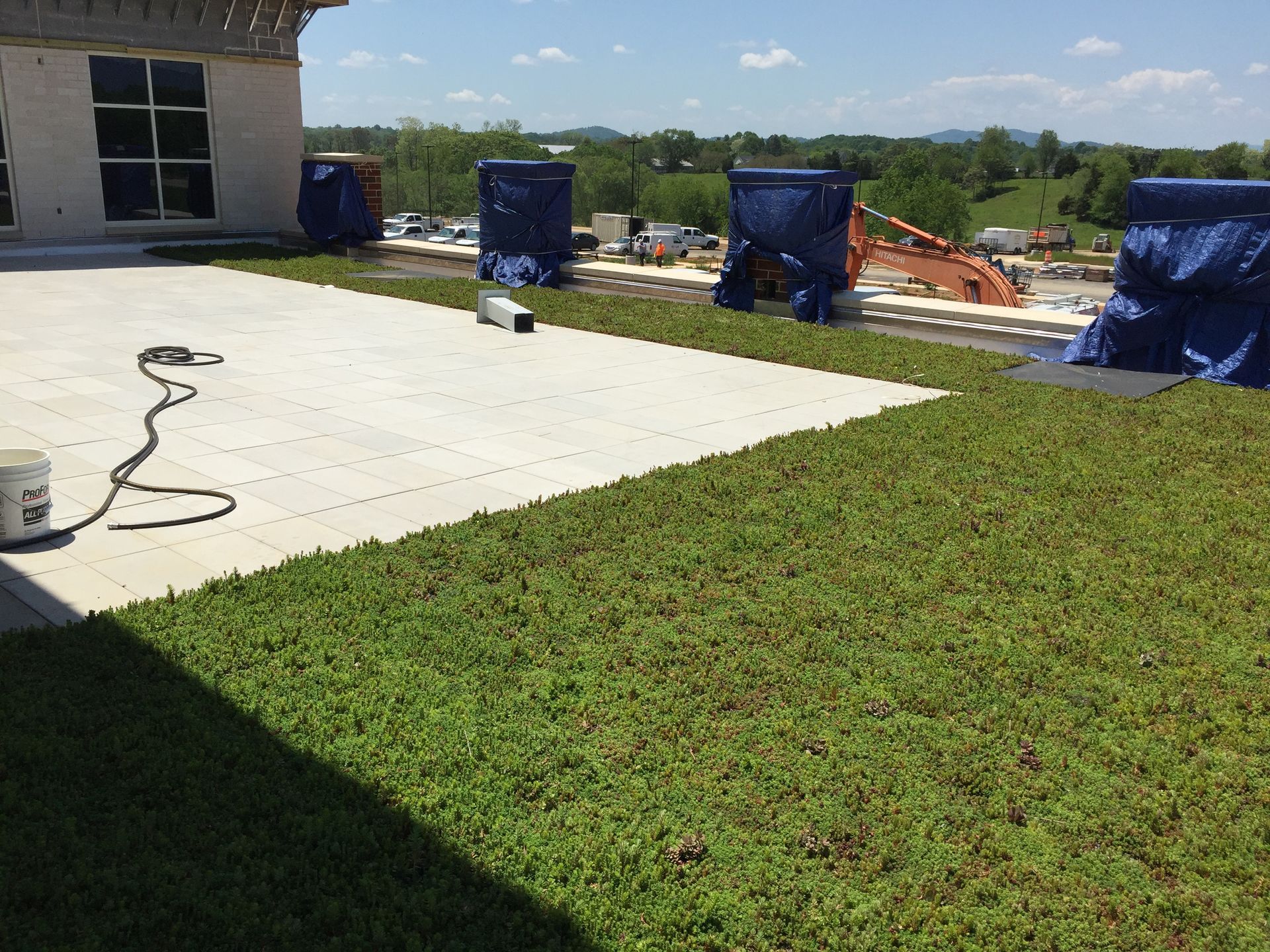 Green roof with installed vegetation. Concrete patio. Blue tarp-covered equipment on rooftop.