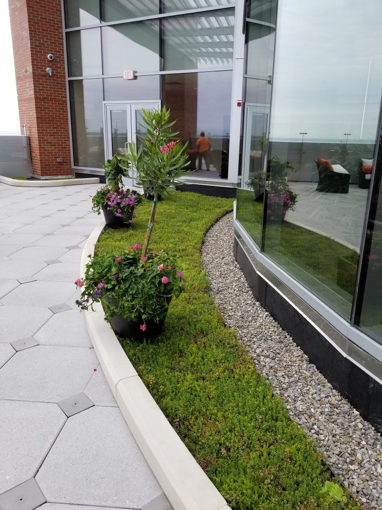 Greenery along a building with glass walls, potted flowers, and stone pathway.