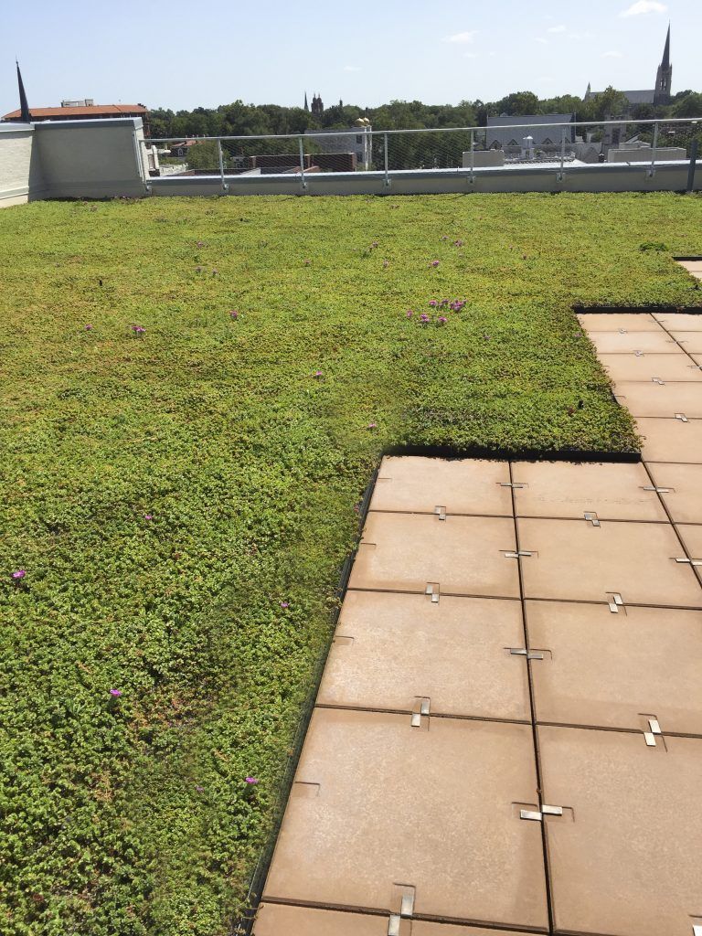 Green roof with square paving stones and city skyline in the background.
