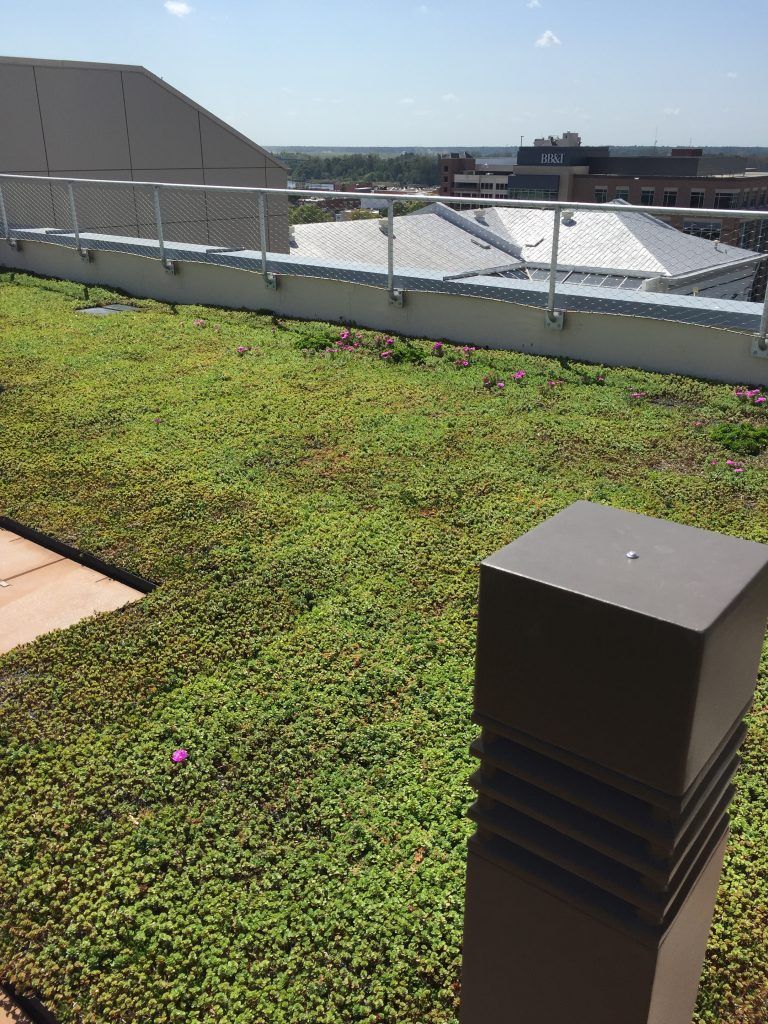 Green roof on a building with safety railing, a modern light fixture, and a city view in the background.