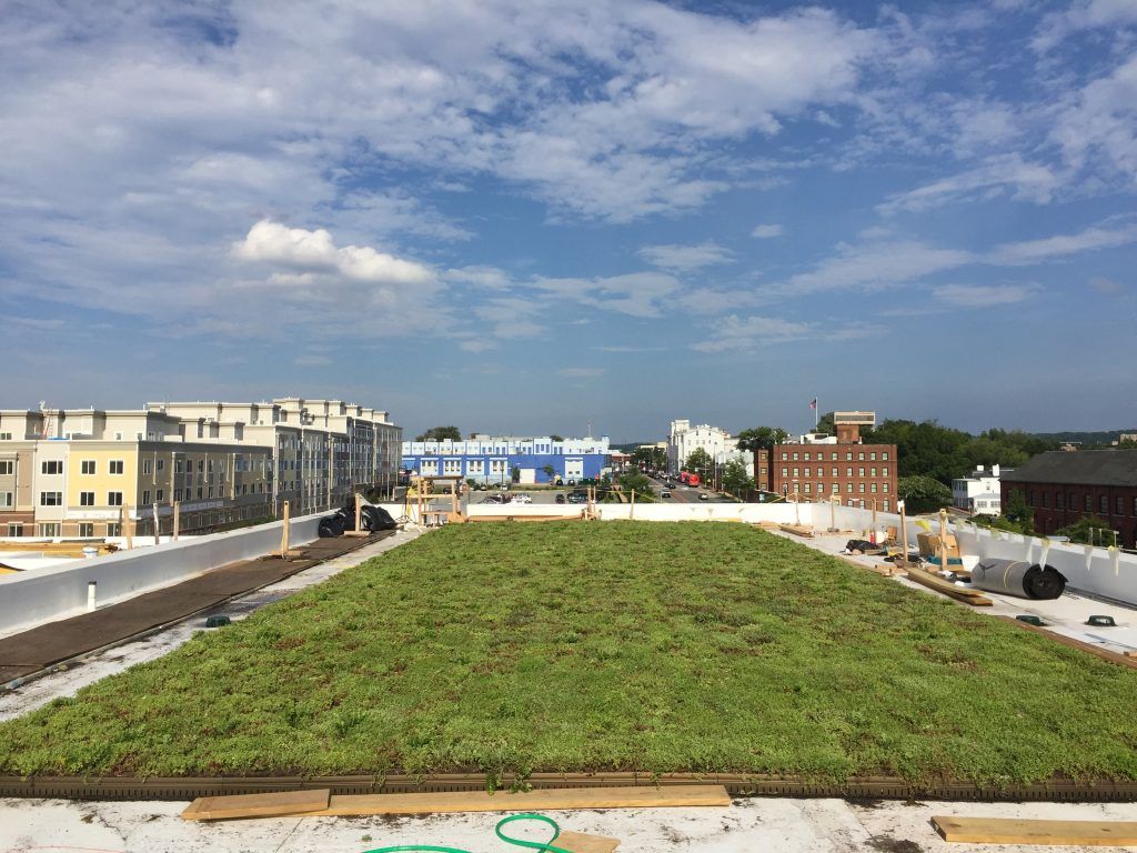 Green roof on a building, under a blue sky. City buildings visible in the background.