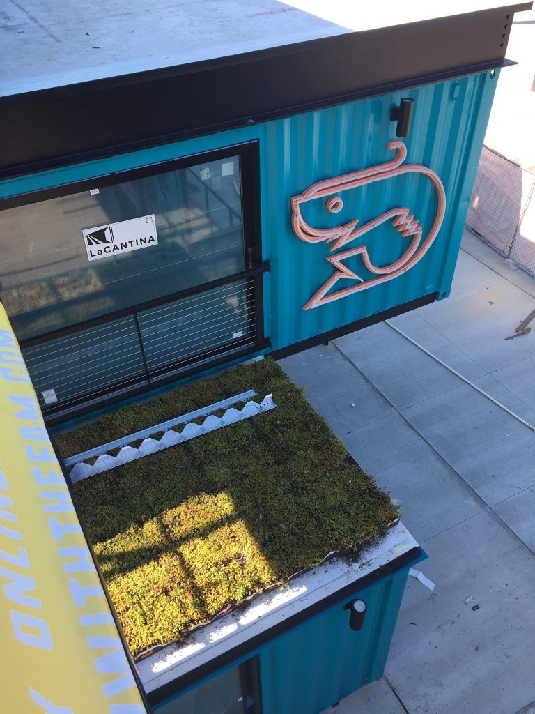 Teal shipping container with a copper shrimp logo, a green roof, and a window.