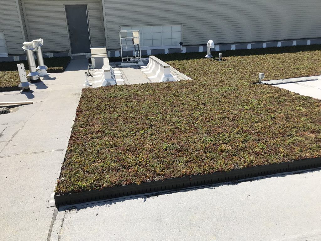Green roof on a commercial building; vegetation on a flat, rectangular area.