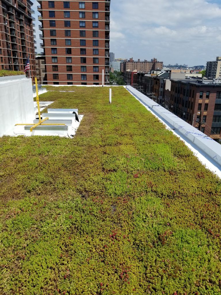 Green rooftop garden on a building, surrounded by other buildings under a cloudy sky.