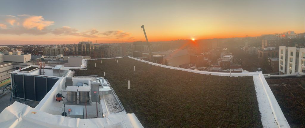 Sunrise over a city rooftop with a green garden. A crane is in the center, and buildings are in the background.