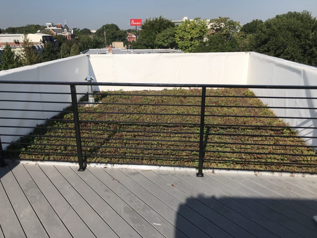 Rooftop garden with green plants behind a black railing on a gray deck, white walls, and surrounding trees.