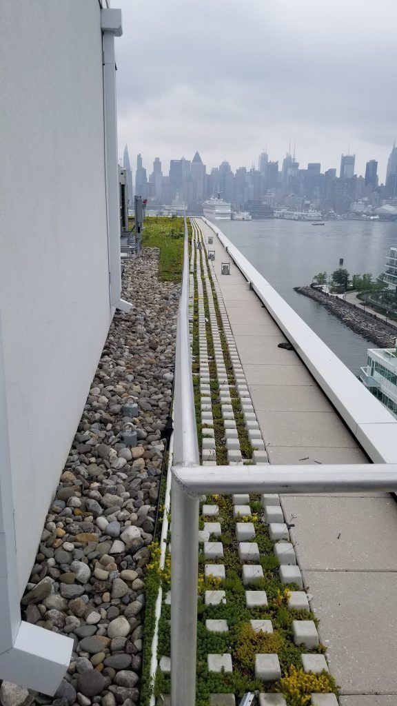 Rooftop with path, river view, and NYC skyline. White building on left, stones and greenery. Overcast day.